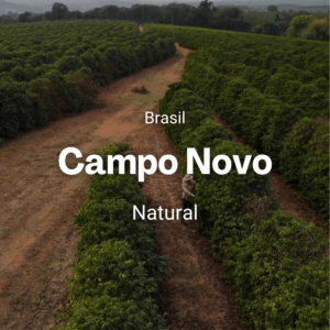 Campo Novo, Brasil