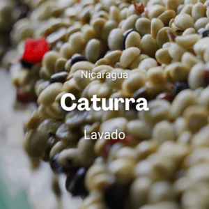 Caturra, Nicaragua