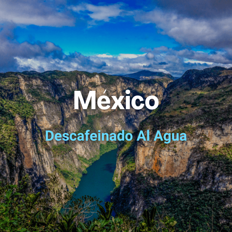 México Descafeinado Al Agua from Mr. Chava Cafés Especiales
