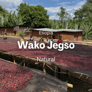 Wako Jegso, Etiopía