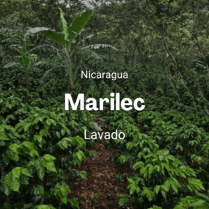 Marilec, Nicaragua
