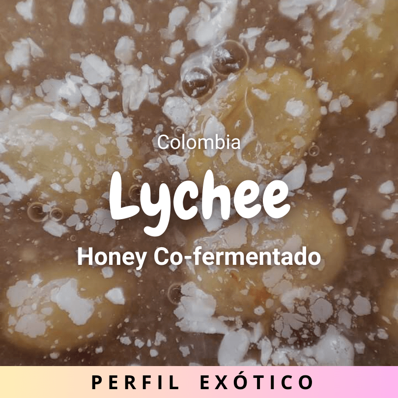 Lychee, Colombia from Mr. Chava Cafés Especiales