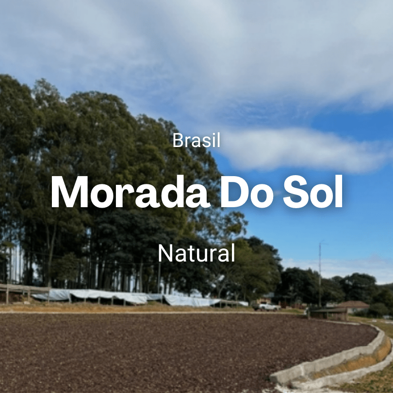 Morada Do Sol, Brasil from Mr. Chava Cafés Especiales