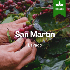 San Martín, Perú