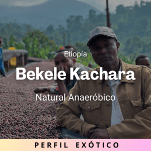 Bekele Kachara, Etiopía
