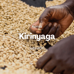 Kirinyaga, Kenya
