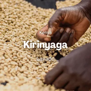 Kirinyaga, Kenya