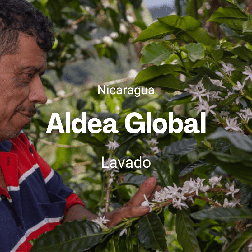 Aldea Global, Nicaragua from Mr. Chava Cafés Especiales