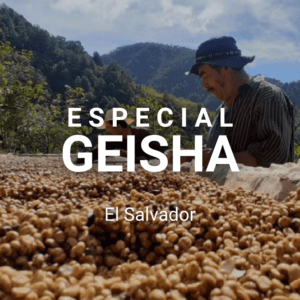 Especial Geisha, El Salvador
