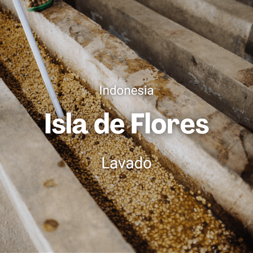 Isla de Flores, Indonesia from Mr. Chava Cafés Especiales