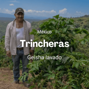 Trincheras, Geisha