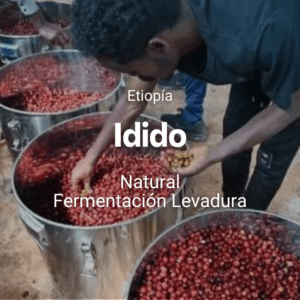 Idido, Etiopía