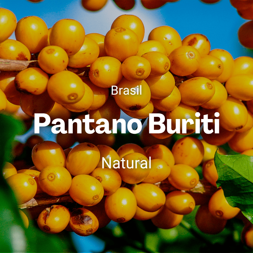 Pantano Buriti, Brasil