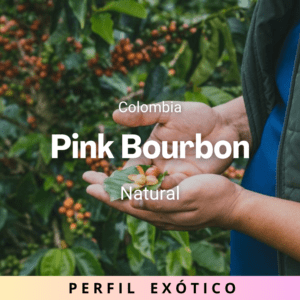 Pink Bourbon, Colombia