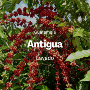 Antigua, Guatemala