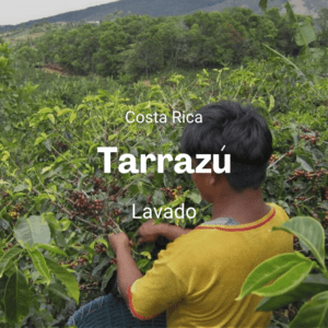 Tarrazú, Costa Rica