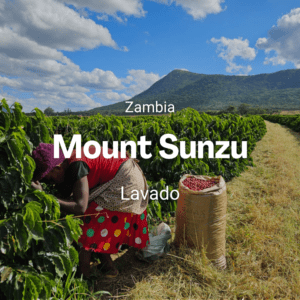 Mount Sunzu, Zambia