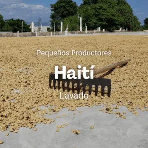 Pequeños productores, Haití