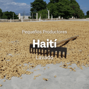 Pequeños productores, Haití