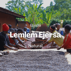 Lemlem Ejersa, Etiopía