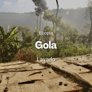 Gola, Etiopía