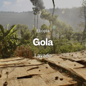 Gola, Etiopía