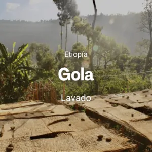 Gola, Etiopía