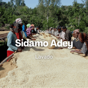 Sidamo Adey, Etiopía