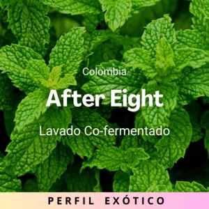 After Eight, Colombia