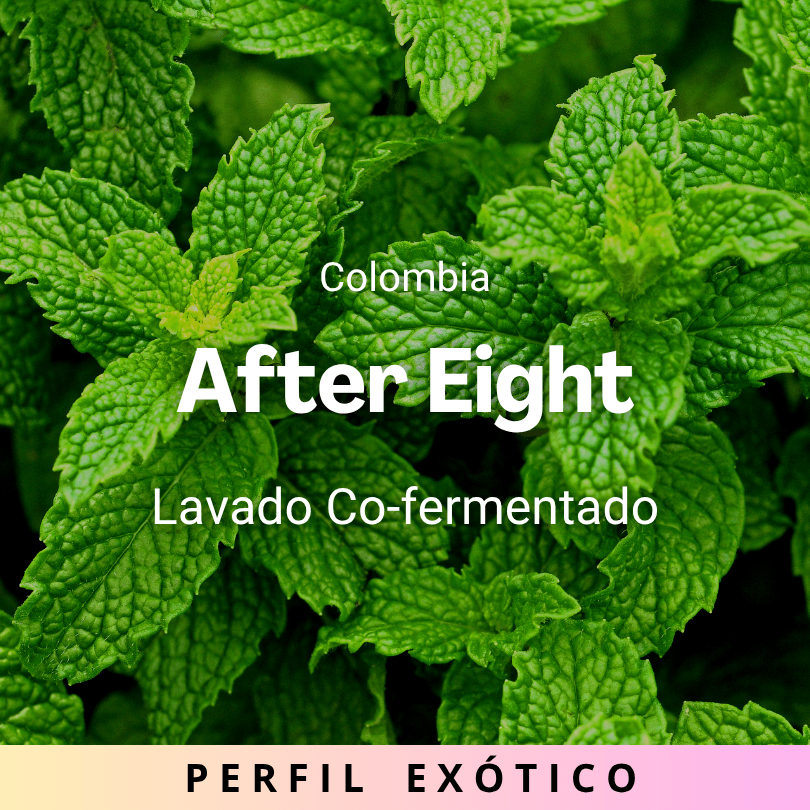 After Eight, Colombia