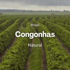 Fazenda Congonhas, Brasil