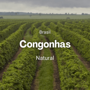 Fazenda Congonhas, Brasil