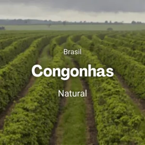 Fazenda Congonhas, Brasil