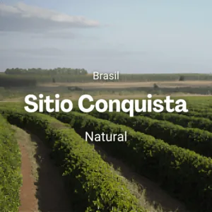 Sitio Conquista, Brasil