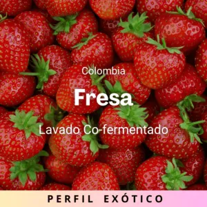 Fresa, Colombia