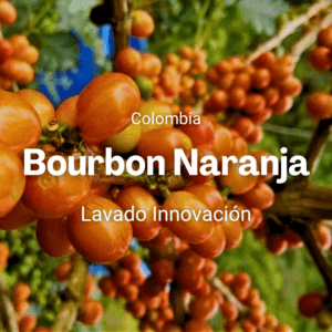 Bourbon Naranja, Colombia