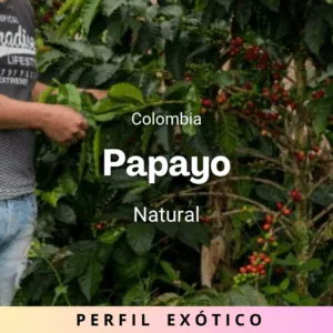 Papayo, Colombia