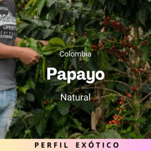 Papayo, Colombia