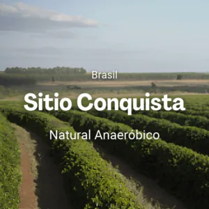 Sitio Conquista, Brasil