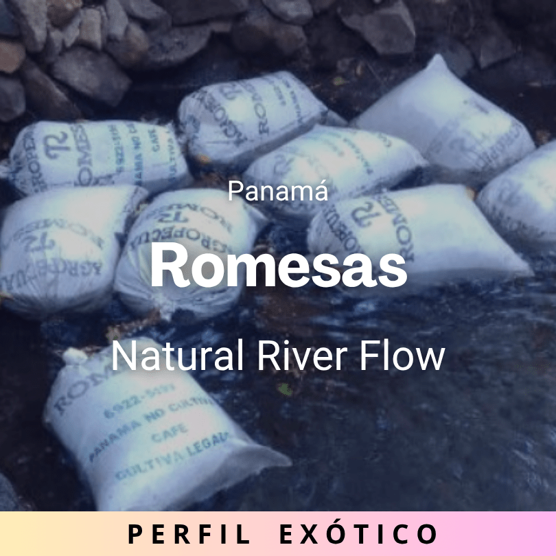 Romesas, Panamá